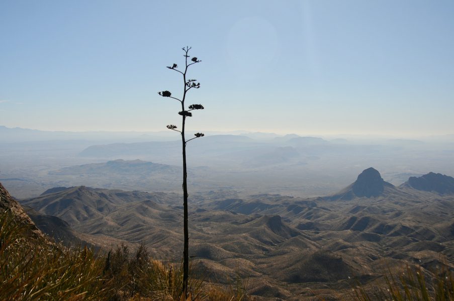 Day 79: South Rim Loop Hike | Big Bend National Park, Terlingua, TX