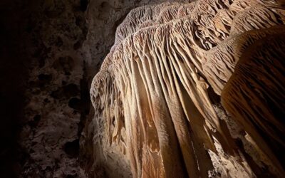 Day 83: Carlsbad Caverns, New Mexico