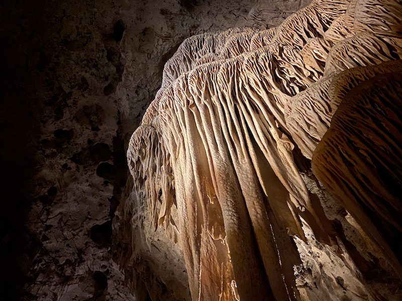 Day 83: Carlsbad Caverns, New Mexico