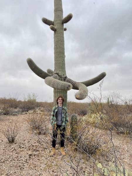 Day 90: Saguaro National Park, Tucson, AZ