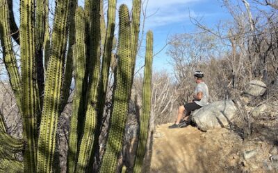 Day 118: Baja Sunrise, Los Barriles, Mexico