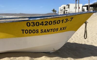 Day 131: Todos Santos, Mexico