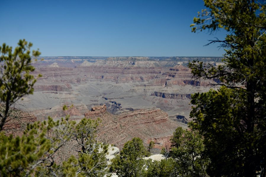 Day 174: Grand Canyon, AZ