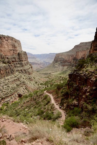 Day 176: Grand Canyon, AZ