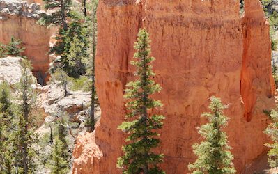 Day 179: Bryce Canyon National Park, UT