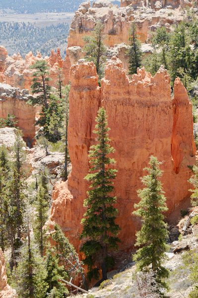 Day 179: Bryce Canyon National Park, UT