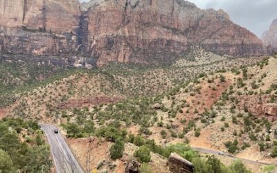 Day 181: Zion National Park, UT
