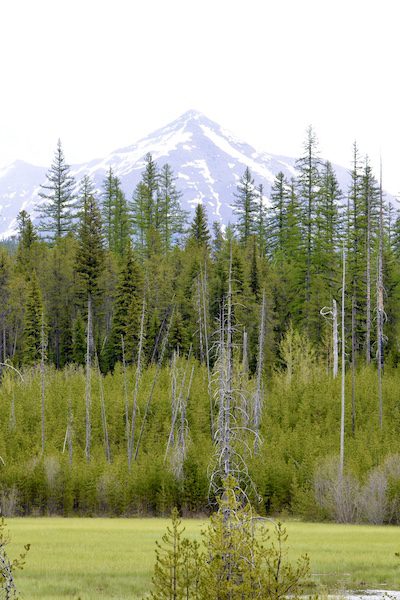 Day 205: Glacier National Park, MT