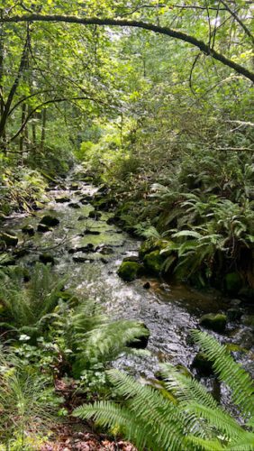 1D381E80-FC41-4E30-A2B5-C438ADC004E9