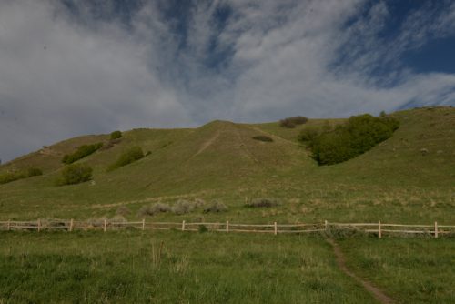 DSC_2613