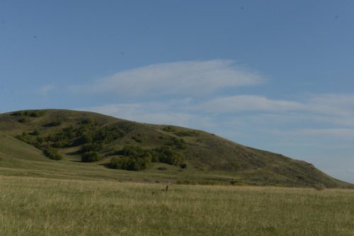 DSC_2628