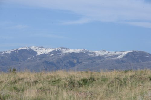 DSC_2631