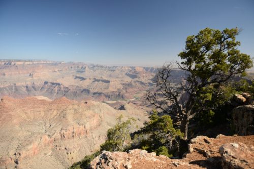 Grand Canyon