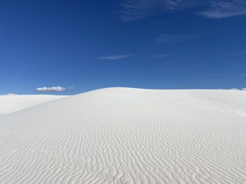 IMG_8305